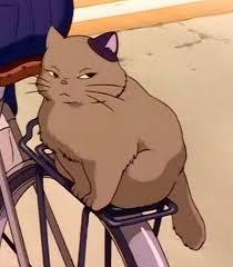 chonky cat moon on a bike